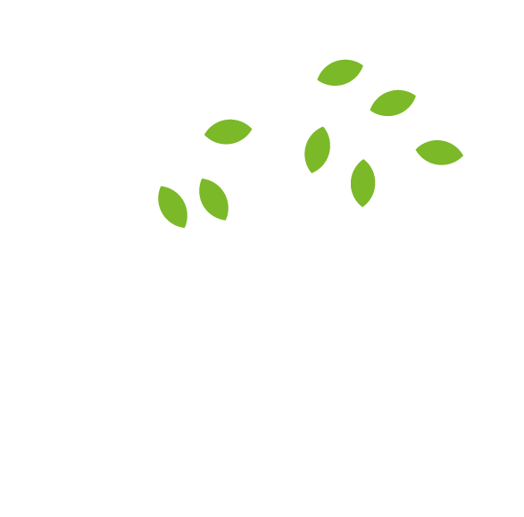 geelong property maintenance